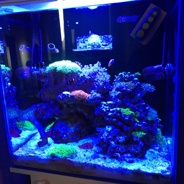 Оригинальная ссылка на кракен