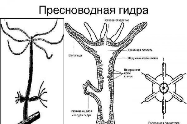 Тор kraken