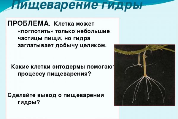 Как зайти на кракен kr2web in