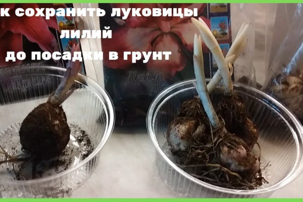 Кракен официальный сайт онион