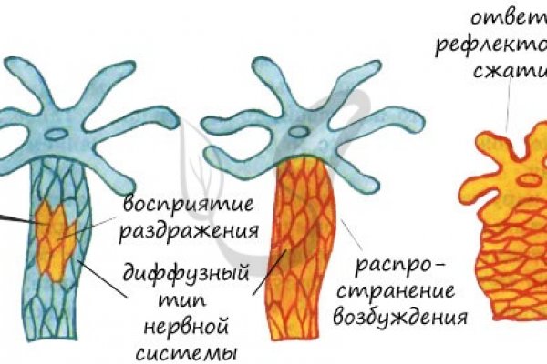 Кракен работает